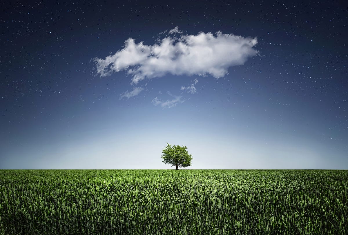 TWiST #202: Shopware geht in die Cloud #scd2020