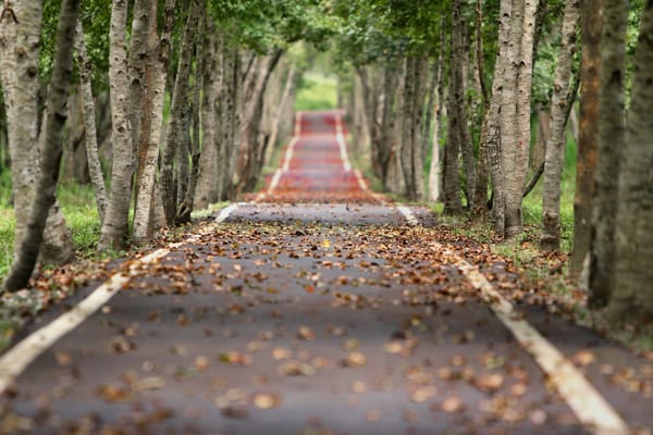 TWiST #174: Der lange Weg vom Software-Hersteller zum Cloud-Provider