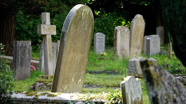 The Web’s not dead, only half as good in some areas