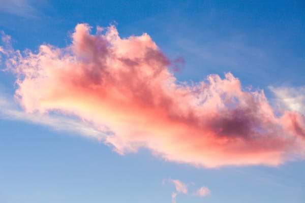 SaaS im E-Commerce: Wer knackt den ambitionierten Mittelstand?
