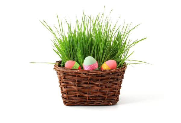 TWiST #152: Post-Ostern-Detox