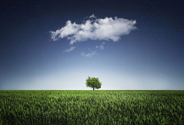 TWiST #202: Shopware geht in die Cloud #scd2020